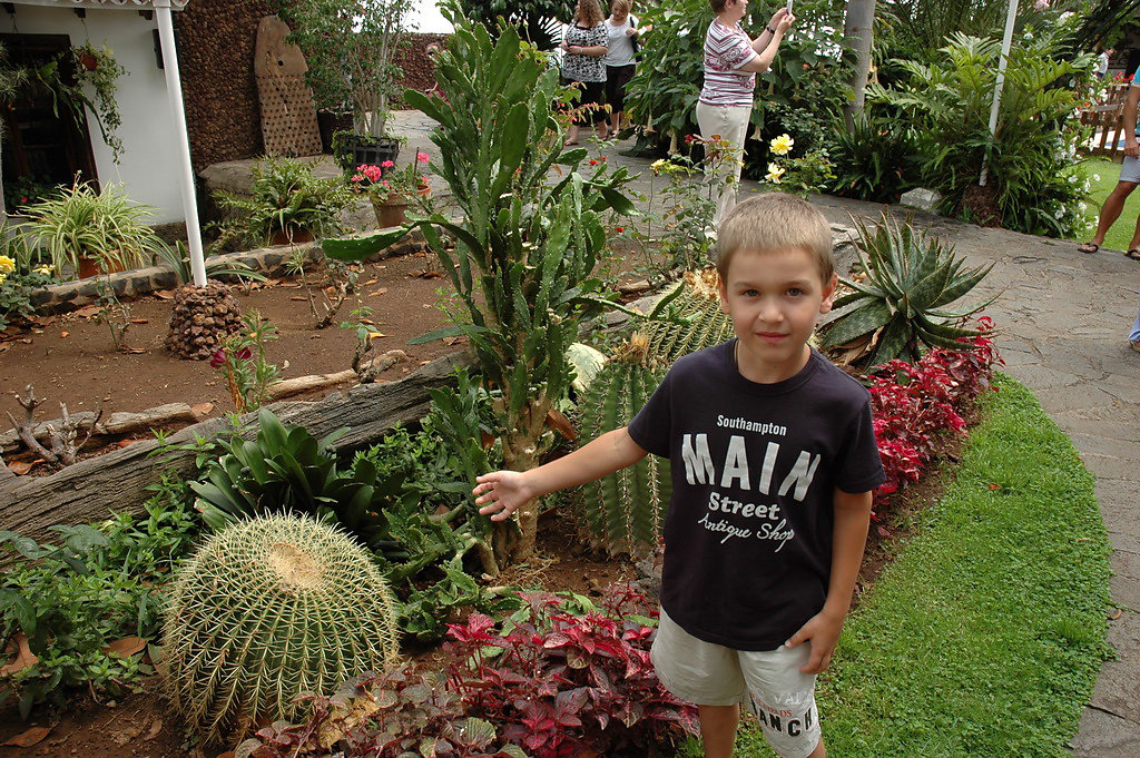 tenerife-2012-052.jpg